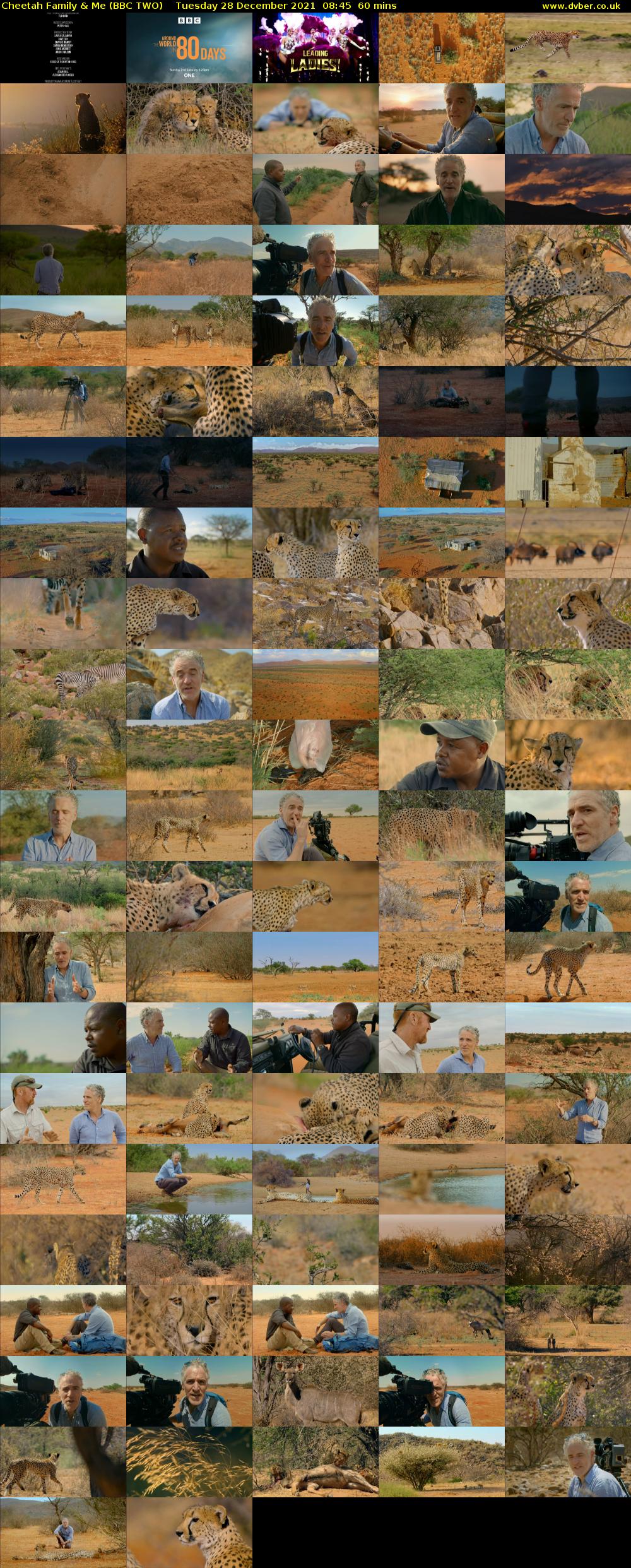 Cheetah Family & Me (BBC TWO) Tuesday 28 December 2021 08:45 - 09:45