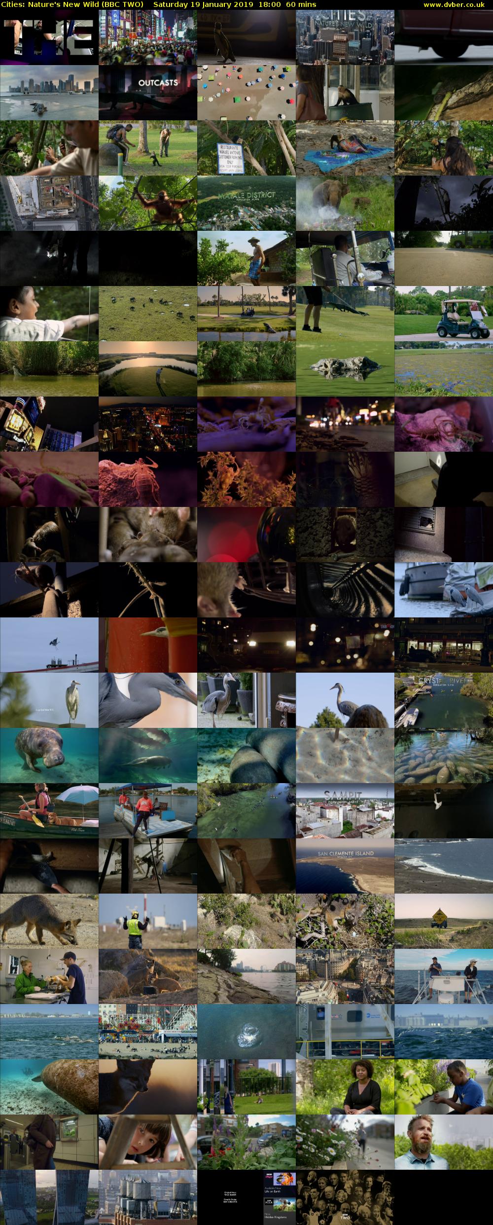 Cities: Nature's New Wild (BBC TWO) Saturday 19 January 2019 18:00 - 19:00
