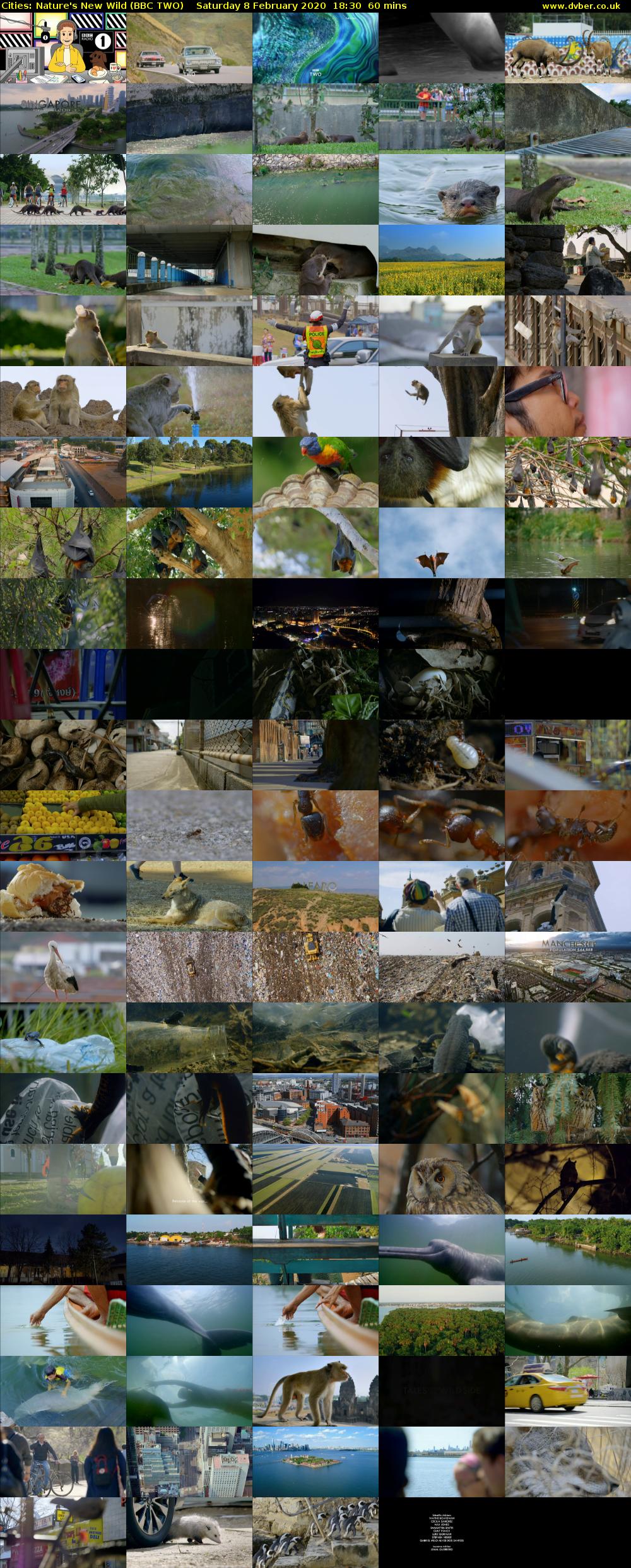Cities: Nature's New Wild (BBC TWO) Saturday 8 February 2020 18:30 - 19:30