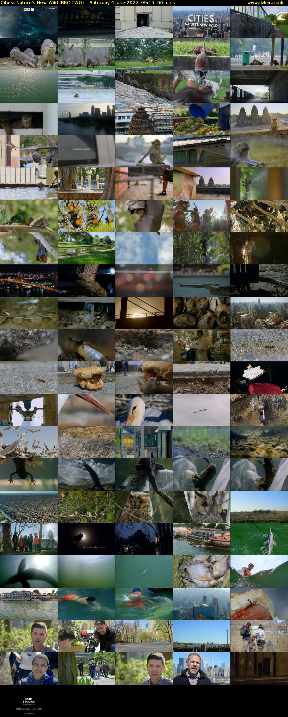 Cities: Nature's New Wild (BBC TWO) Saturday 4 June 2022 09:15 - 10:15
