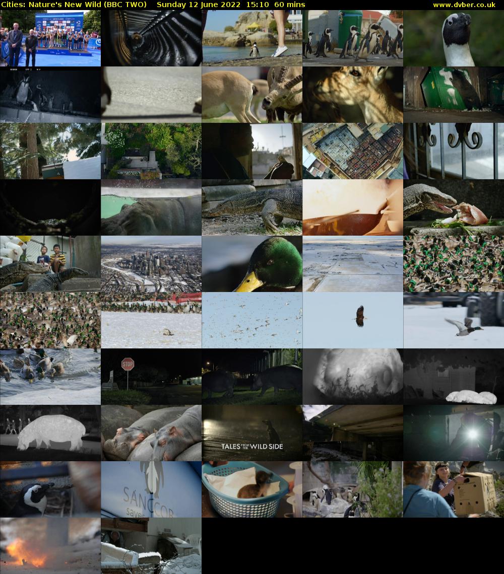 Cities: Nature's New Wild (BBC TWO) Sunday 12 June 2022 15:10 - 16:10