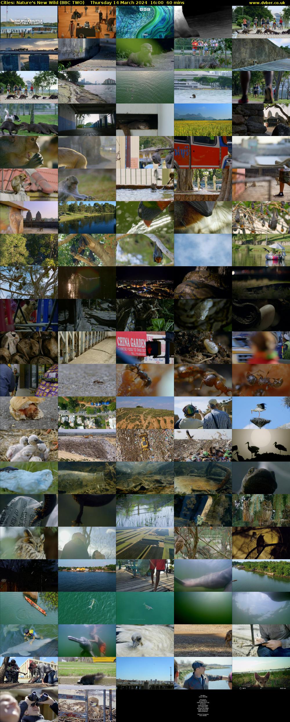 Cities: Nature's New Wild (BBC TWO) Thursday 14 March 2024 16:00 - 17:00