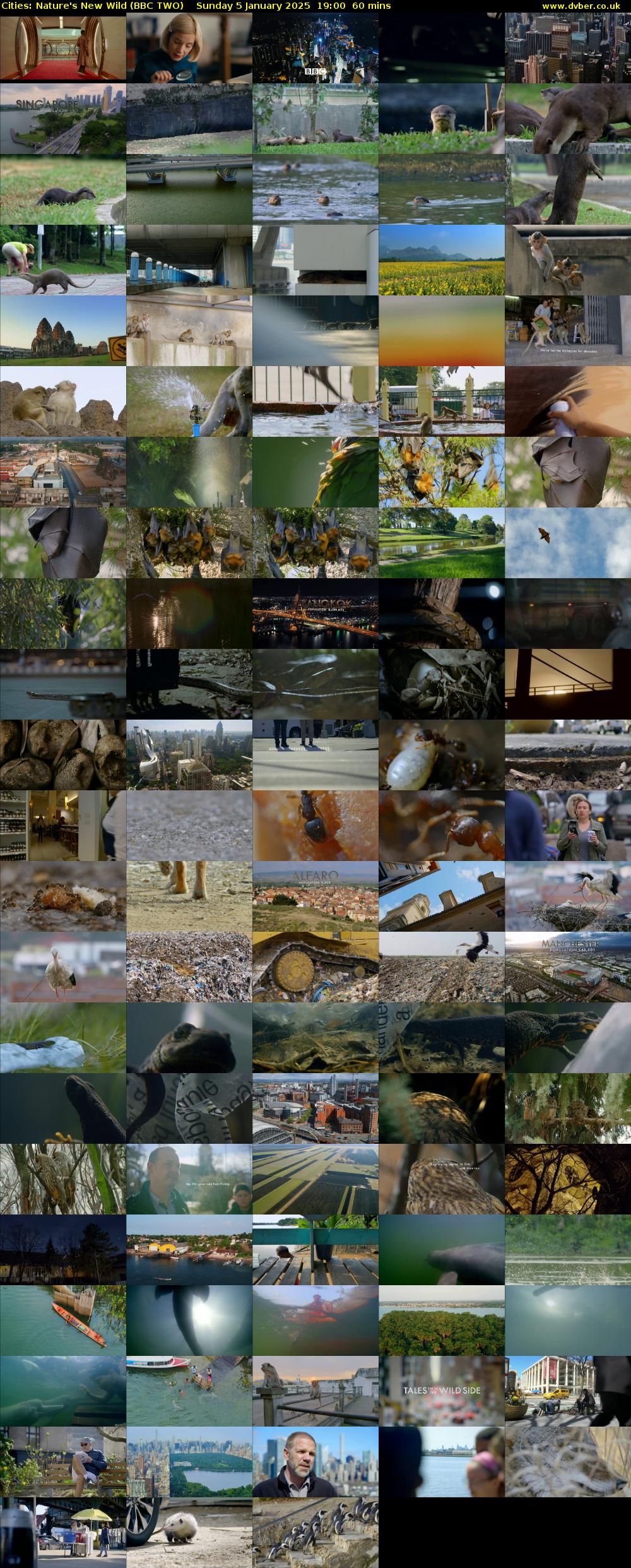 Cities: Nature's New Wild (BBC TWO) Sunday 5 January 2025 19:00 - 20:00