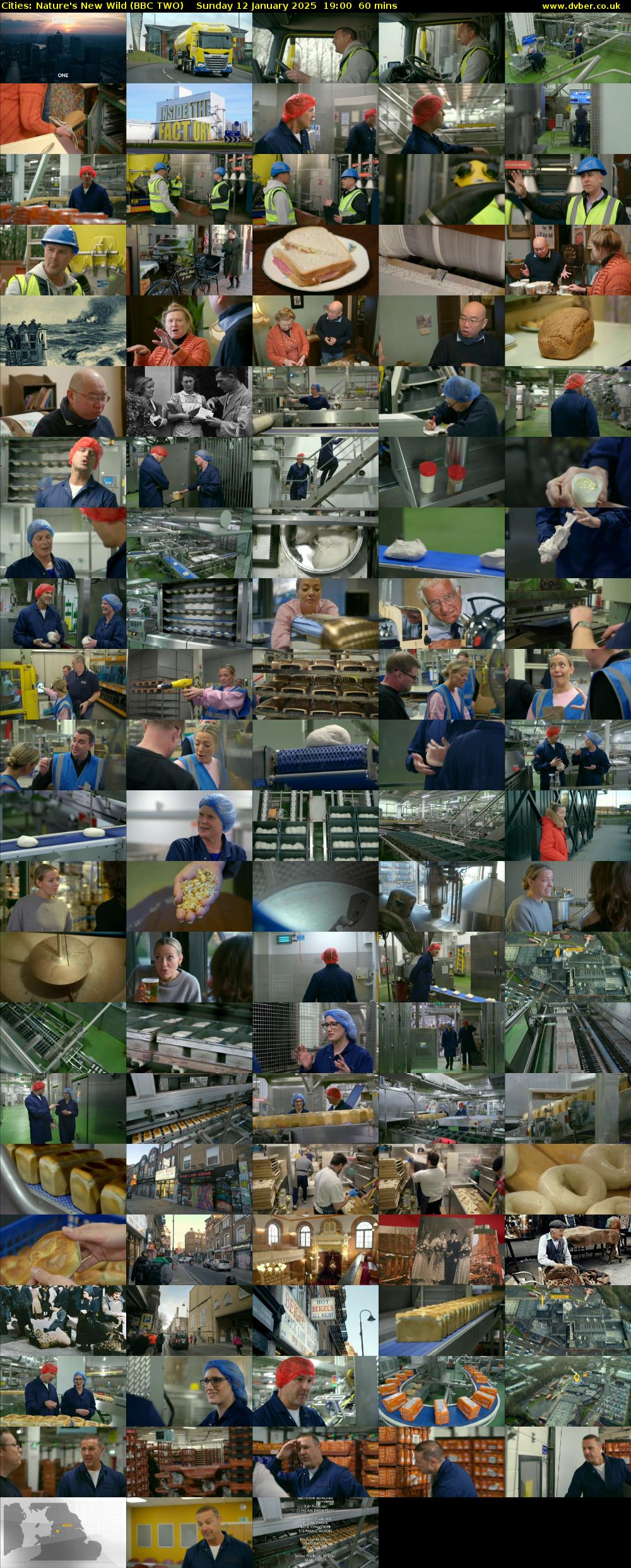 Cities: Nature's New Wild (BBC TWO) Sunday 12 January 2025 19:00 - 20:00