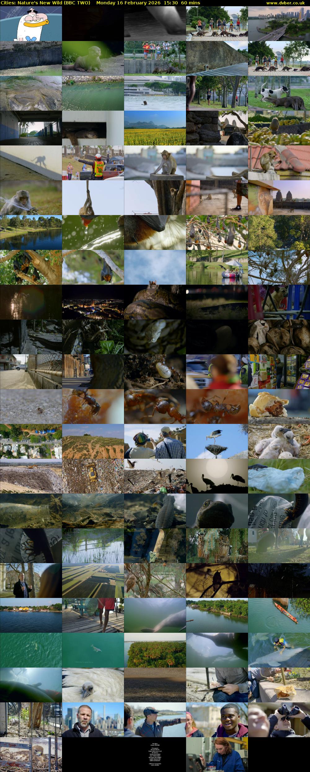 Cities: Nature's New Wild (BBC TWO) Monday 16 February 2026 15:30 - 16:30