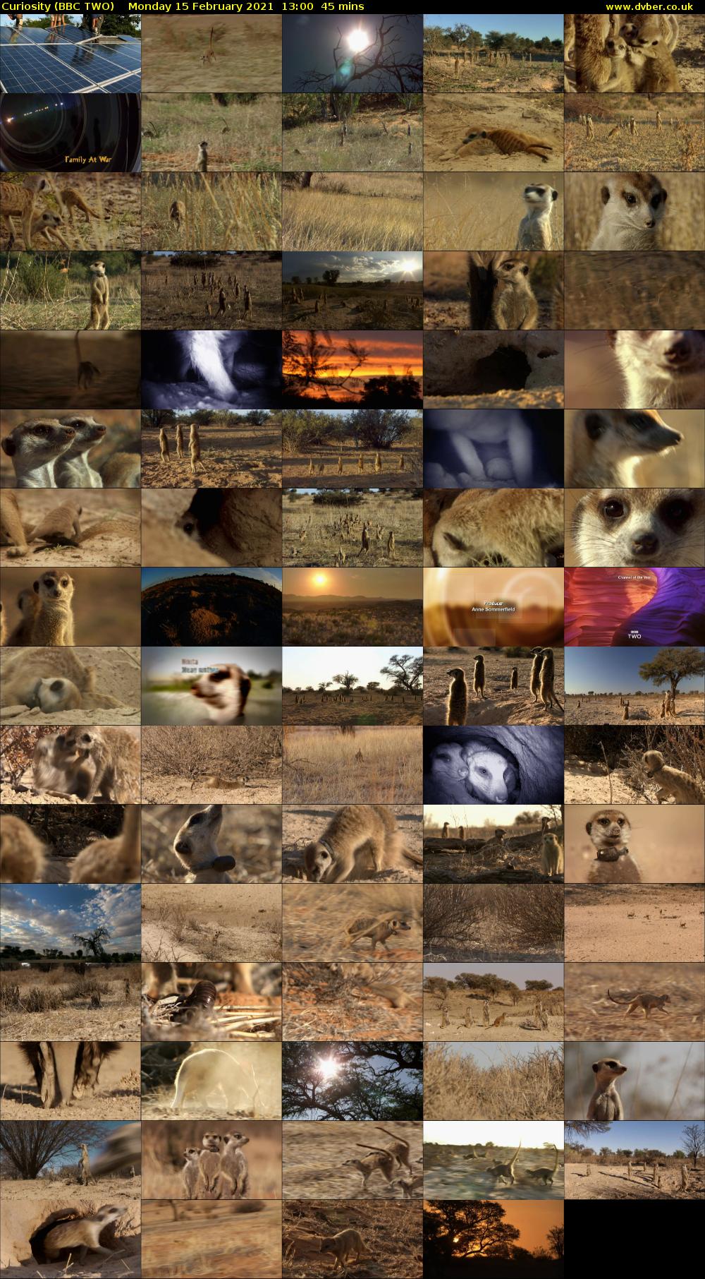 Curiosity (BBC TWO) Monday 15 February 2021 13:00 - 13:45