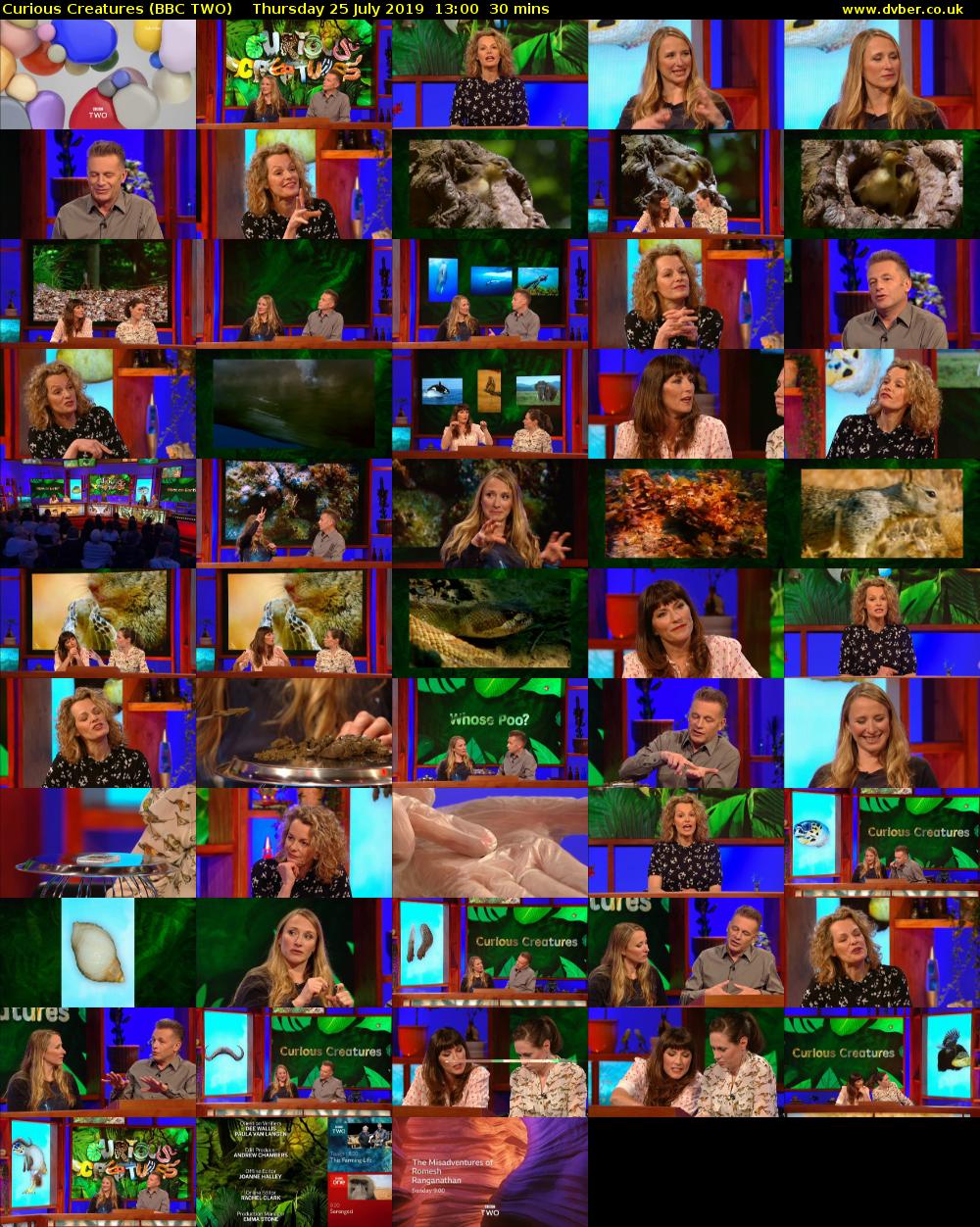 Curious Creatures (BBC TWO) Thursday 25 July 2019 13:00 - 13:30