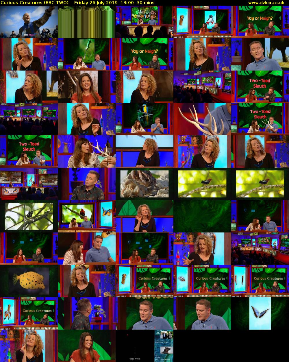 Curious Creatures (BBC TWO) Friday 26 July 2019 13:00 - 13:30