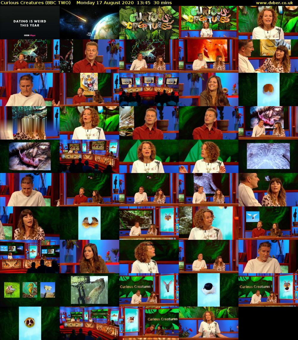 Curious Creatures (BBC TWO) Monday 17 August 2020 13:45 - 14:15
