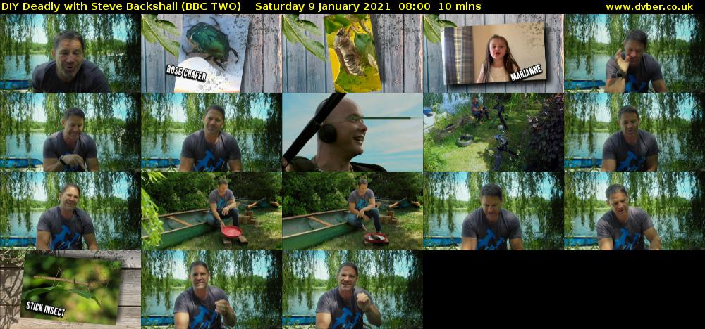 DIY Deadly with Steve Backshall (BBC TWO) Saturday 9 January 2021 08:00 - 08:10
