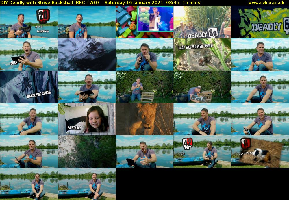 DIY Deadly with Steve Backshall (BBC TWO) Saturday 16 January 2021 08:45 - 09:00