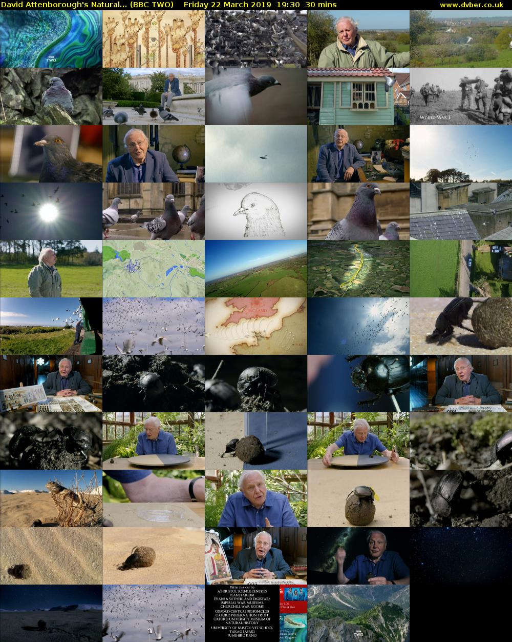 David Attenborough's Natural... (BBC TWO) Friday 22 March 2019 19:30 - 20:00
