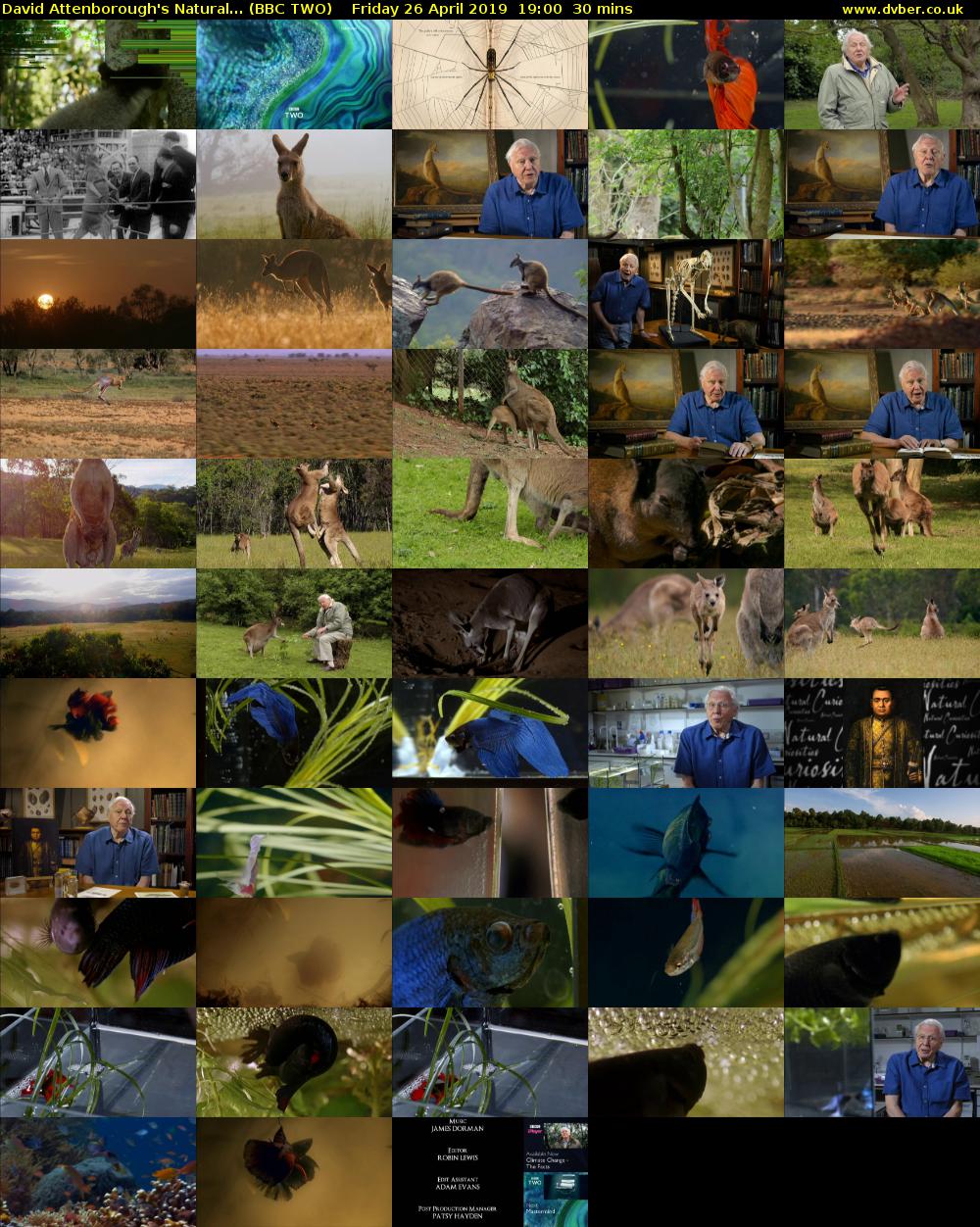 David Attenborough's Natural... (BBC TWO) Friday 26 April 2019 19:00 - 19:30