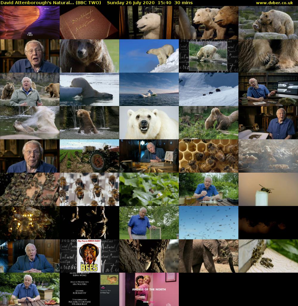 David Attenborough's Natural... (BBC TWO) Sunday 26 July 2020 15:40 - 16:10