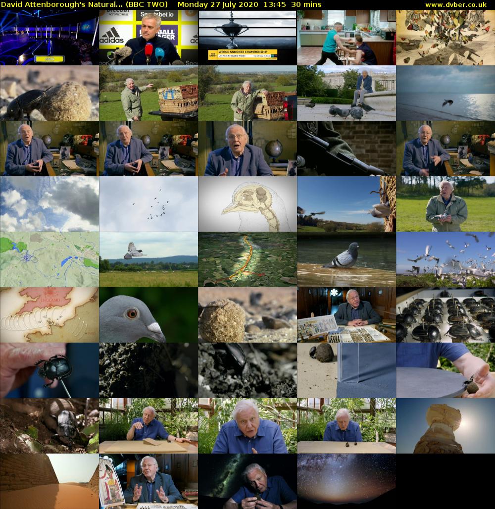 David Attenborough's Natural... (BBC TWO) Monday 27 July 2020 13:45 - 14:15