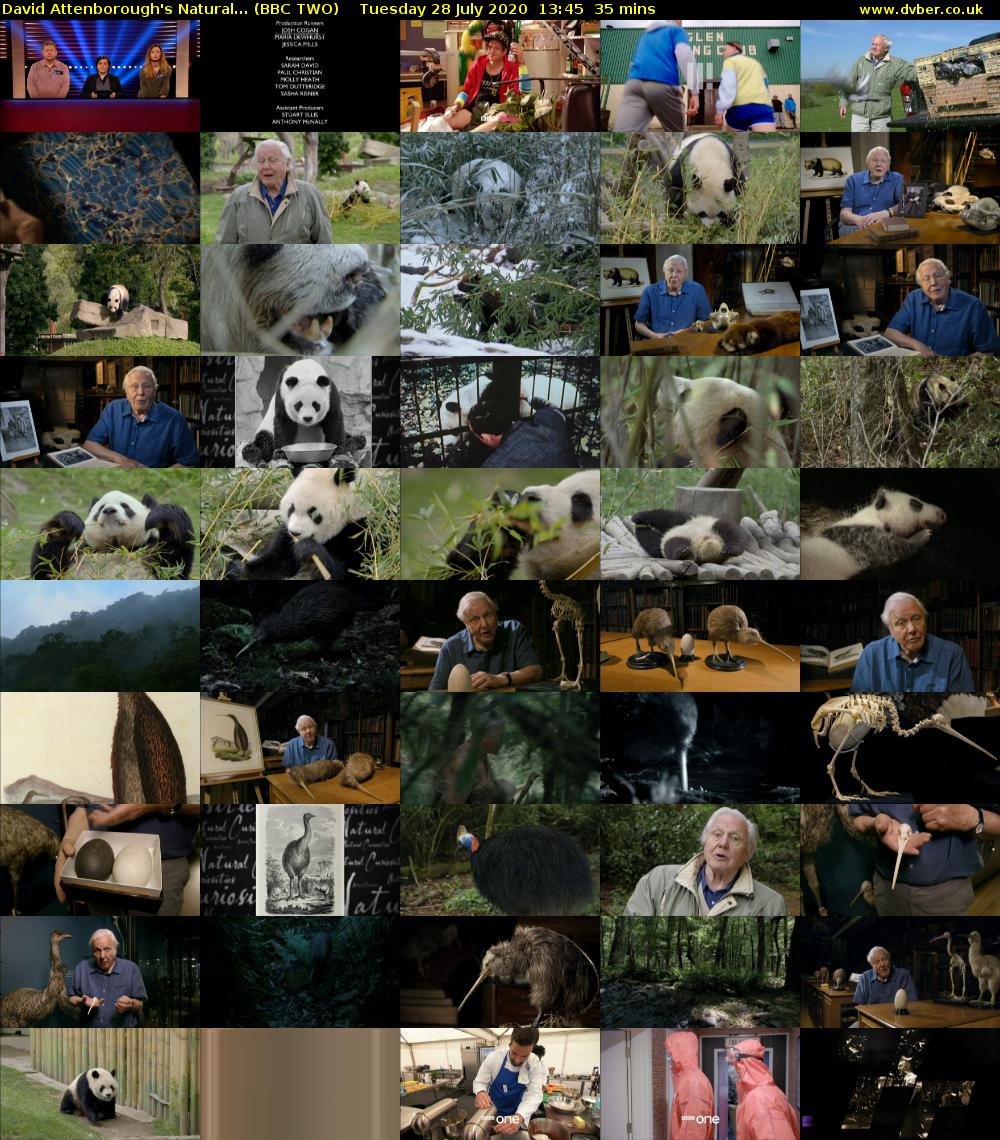 David Attenborough's Natural... (BBC TWO) Tuesday 28 July 2020 13:45 - 14:20