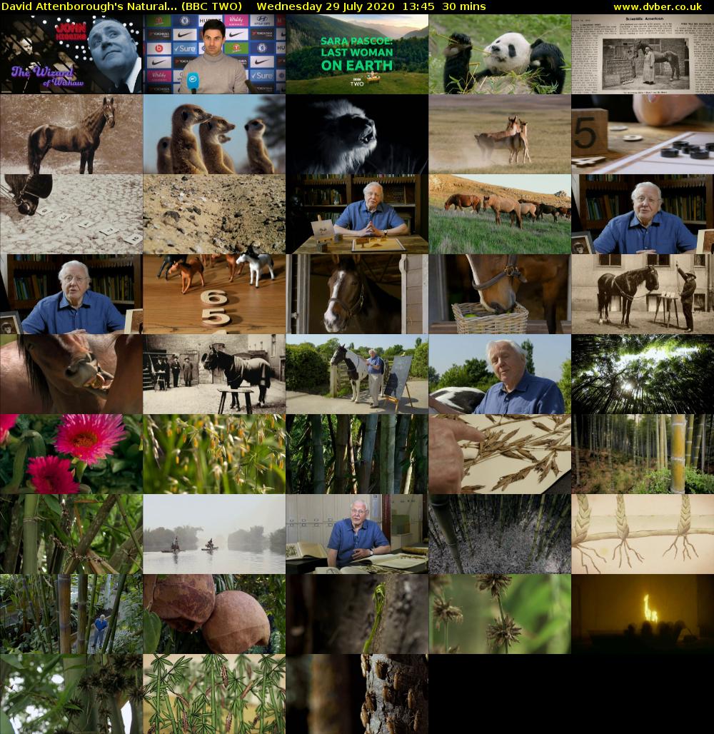 David Attenborough's Natural... (BBC TWO) Wednesday 29 July 2020 13:45 - 14:15