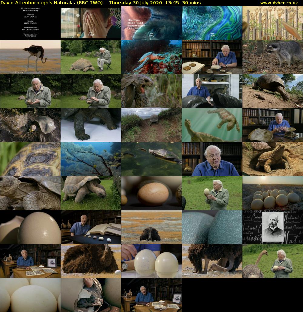 David Attenborough's Natural... (BBC TWO) Thursday 30 July 2020 13:45 - 14:15