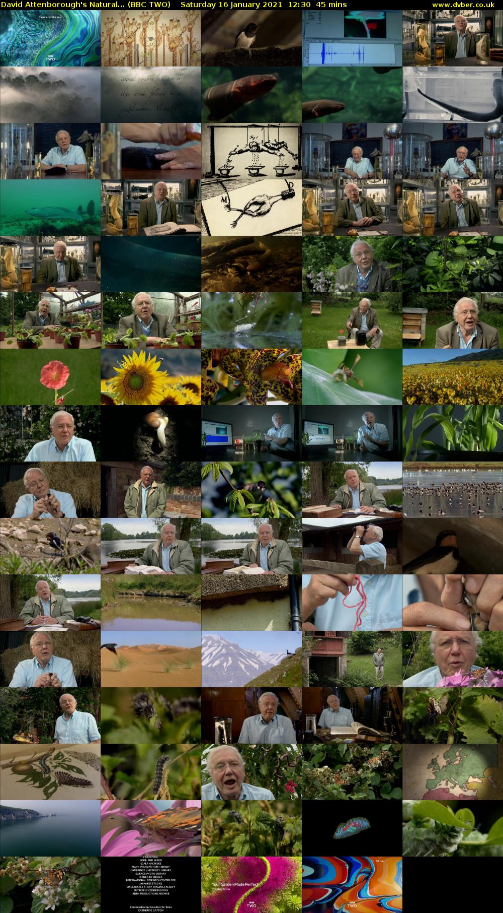 David Attenborough's Natural... (BBC TWO) Saturday 16 January 2021 12:30 - 13:15