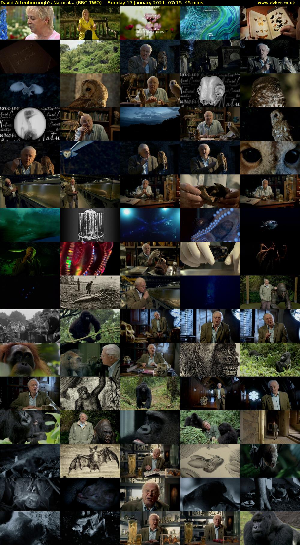 David Attenborough's Natural... (BBC TWO) Sunday 17 January 2021 07:15 - 08:00