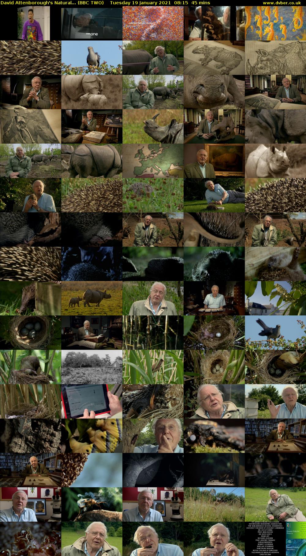 David Attenborough's Natural... (BBC TWO) Tuesday 19 January 2021 08:15 - 09:00