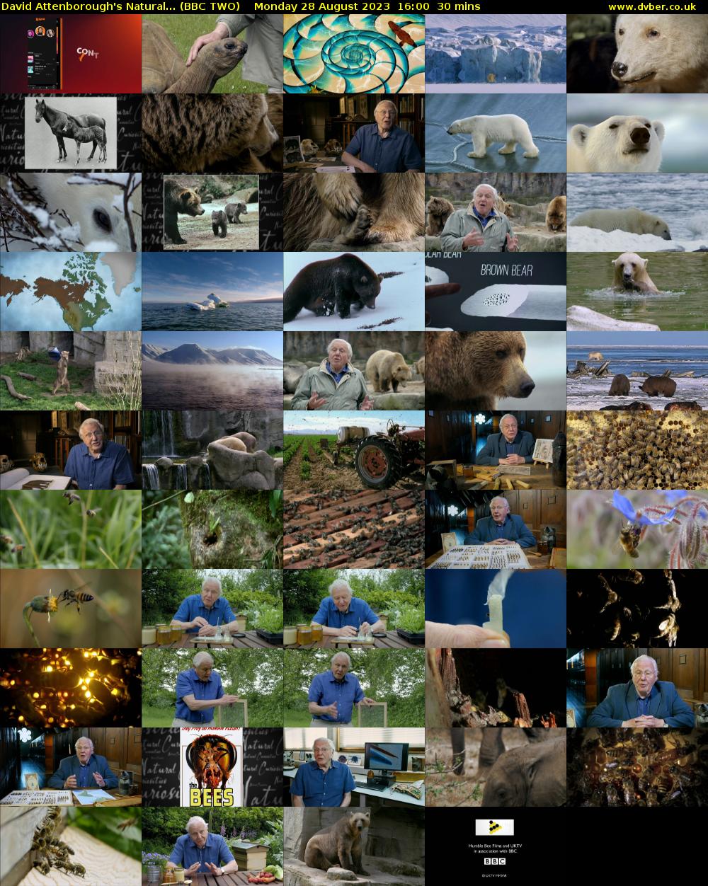 David Attenborough's Natural... (BBC TWO) Monday 28 August 2023 16:00 - 16:30