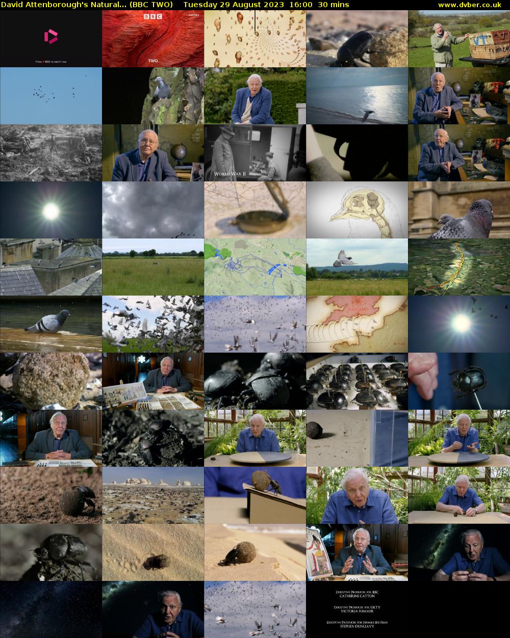 David Attenborough's Natural... (BBC TWO) Tuesday 29 August 2023 16:00 - 16:30