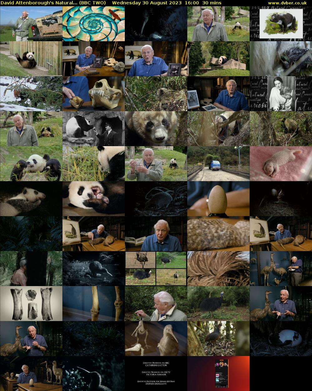 David Attenborough's Natural... (BBC TWO) Wednesday 30 August 2023 16:00 - 16:30