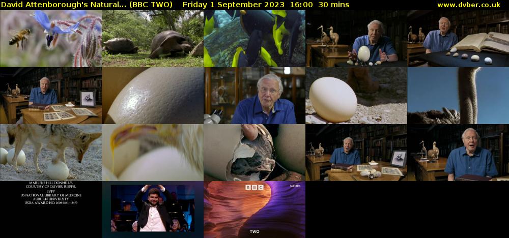 David Attenborough's Natural... (BBC TWO) Friday 1 September 2023 16:00 - 16:30