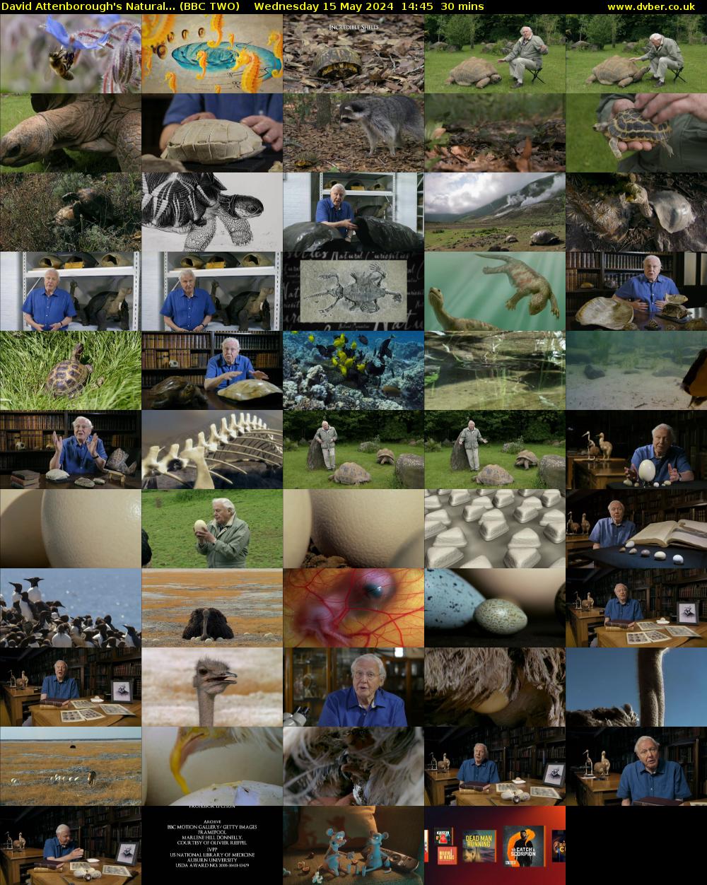David Attenborough's Natural... (BBC TWO) Wednesday 15 May 2024 14:45 - 15:15