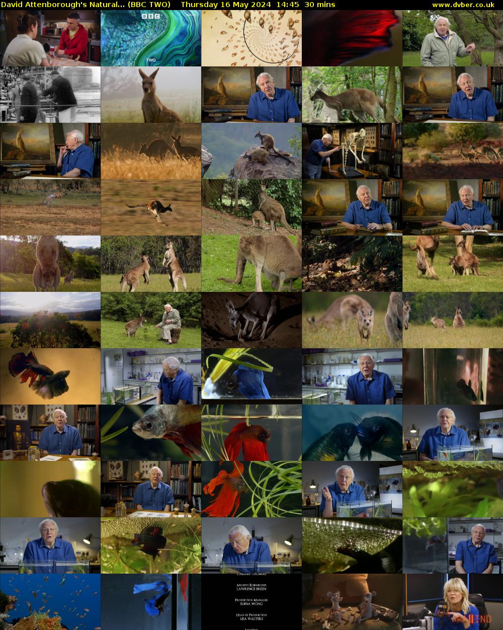 David Attenborough's Natural... (BBC TWO) Thursday 16 May 2024 14:45 - 15:15