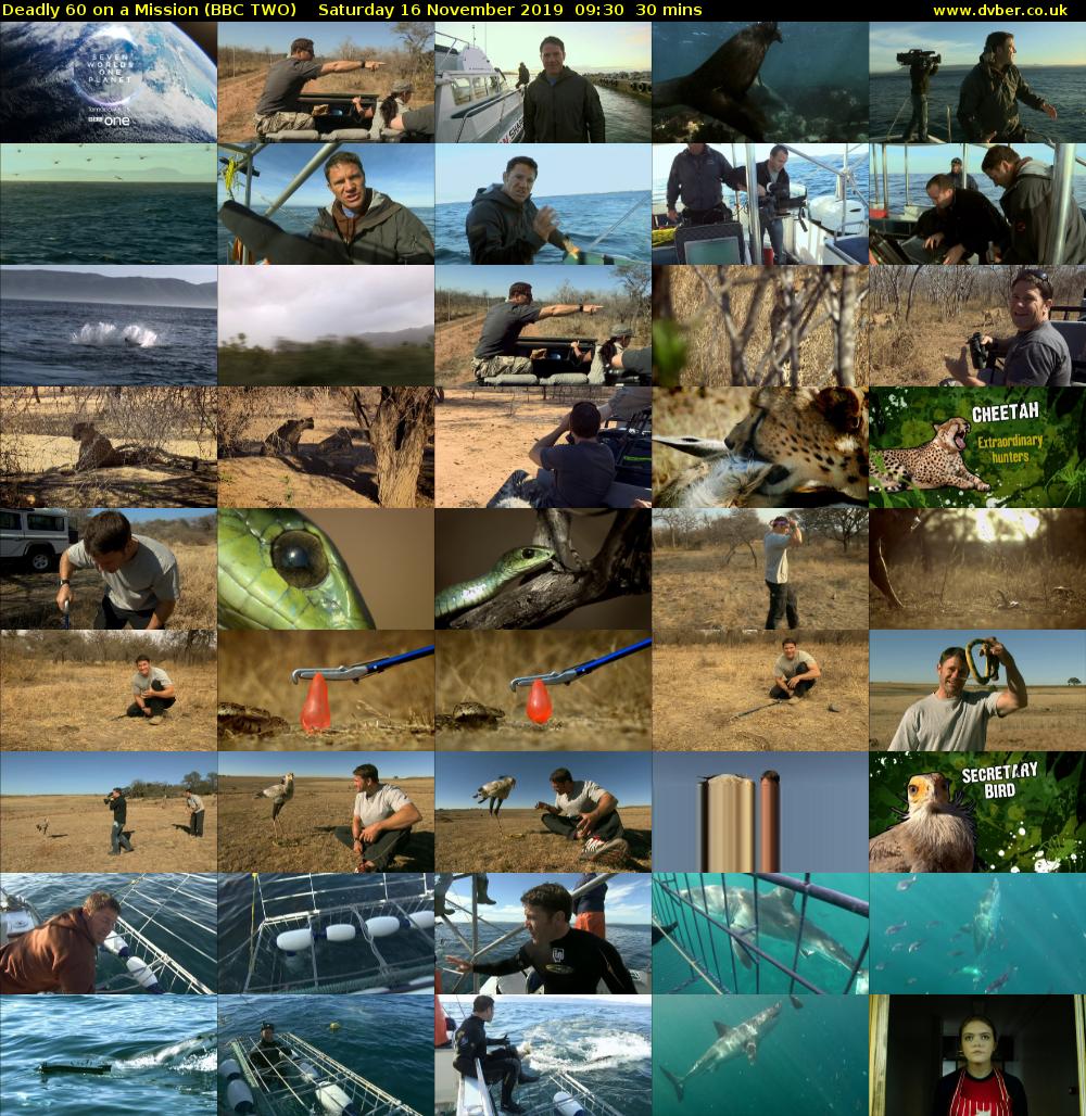 Deadly 60 on a Mission (BBC TWO) Saturday 16 November 2019 09:30 - 10:00