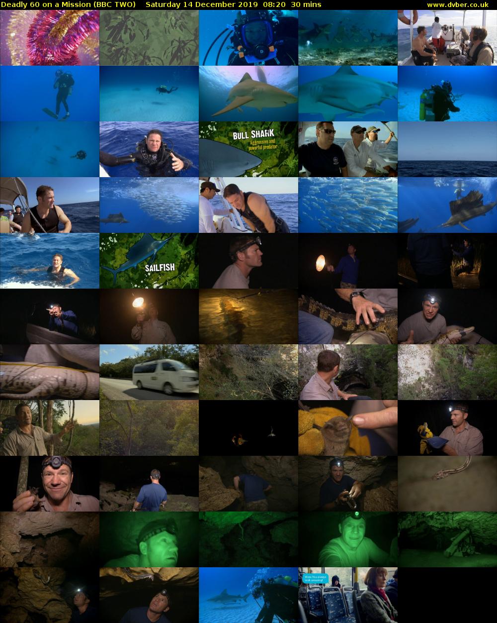Deadly 60 on a Mission (BBC TWO) Saturday 14 December 2019 08:20 - 08:50