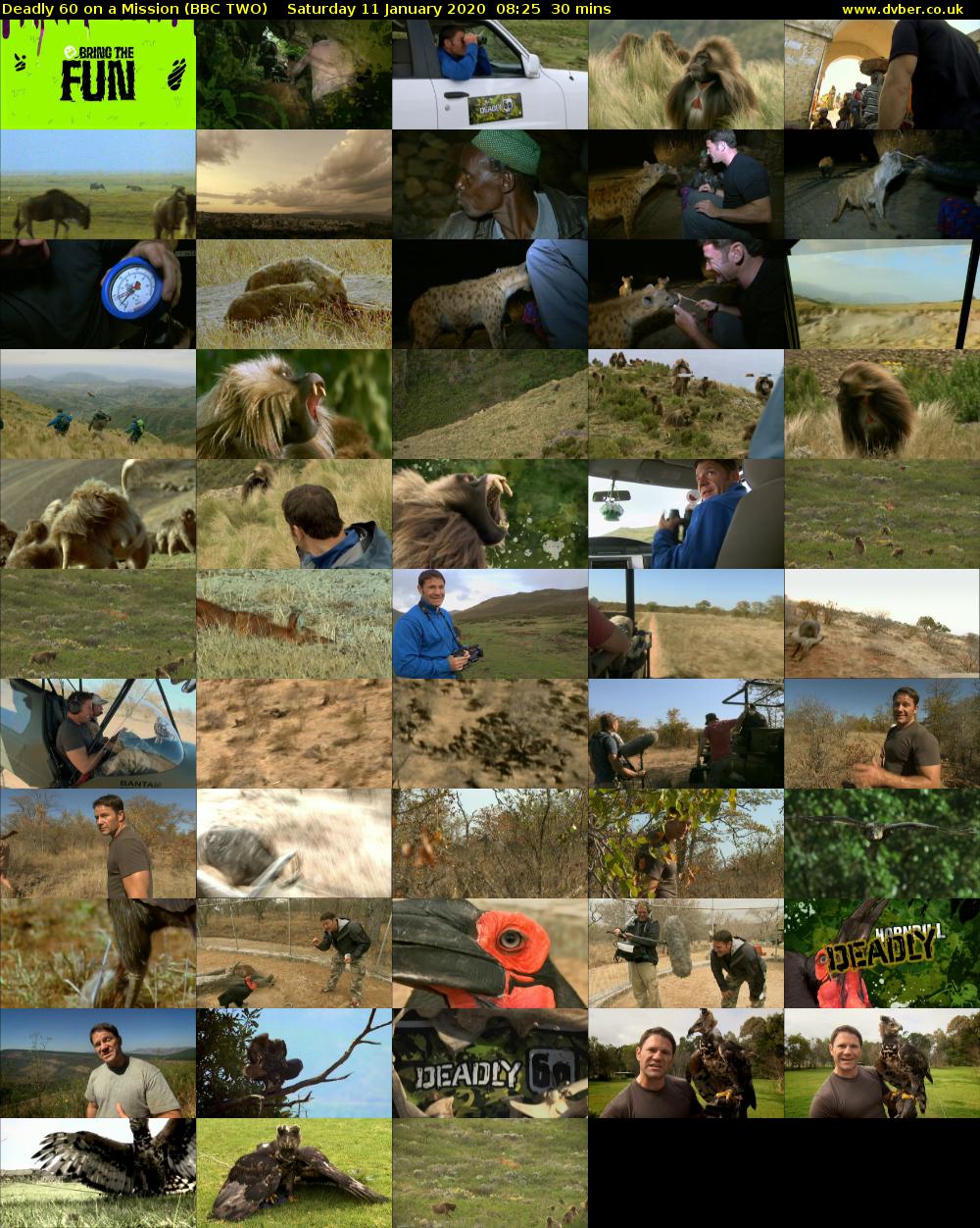 Deadly 60 on a Mission (BBC TWO) Saturday 11 January 2020 08:25 - 08:55