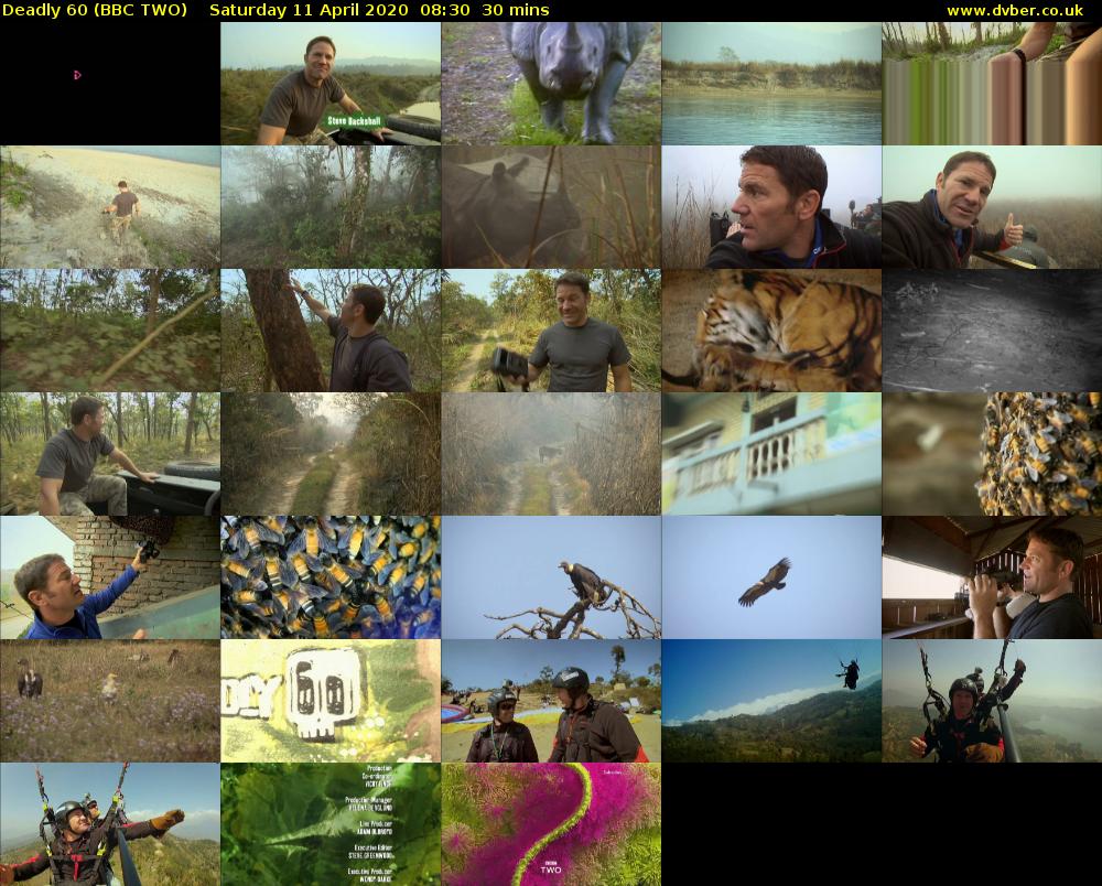 Deadly 60 (BBC TWO) Saturday 11 April 2020 08:30 - 09:00