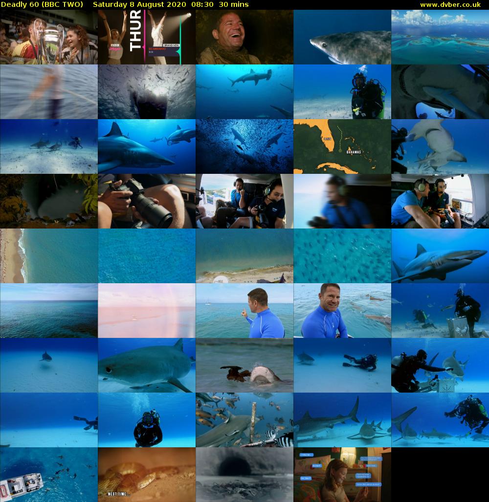 Deadly 60 (BBC TWO) Saturday 8 August 2020 08:30 - 09:00
