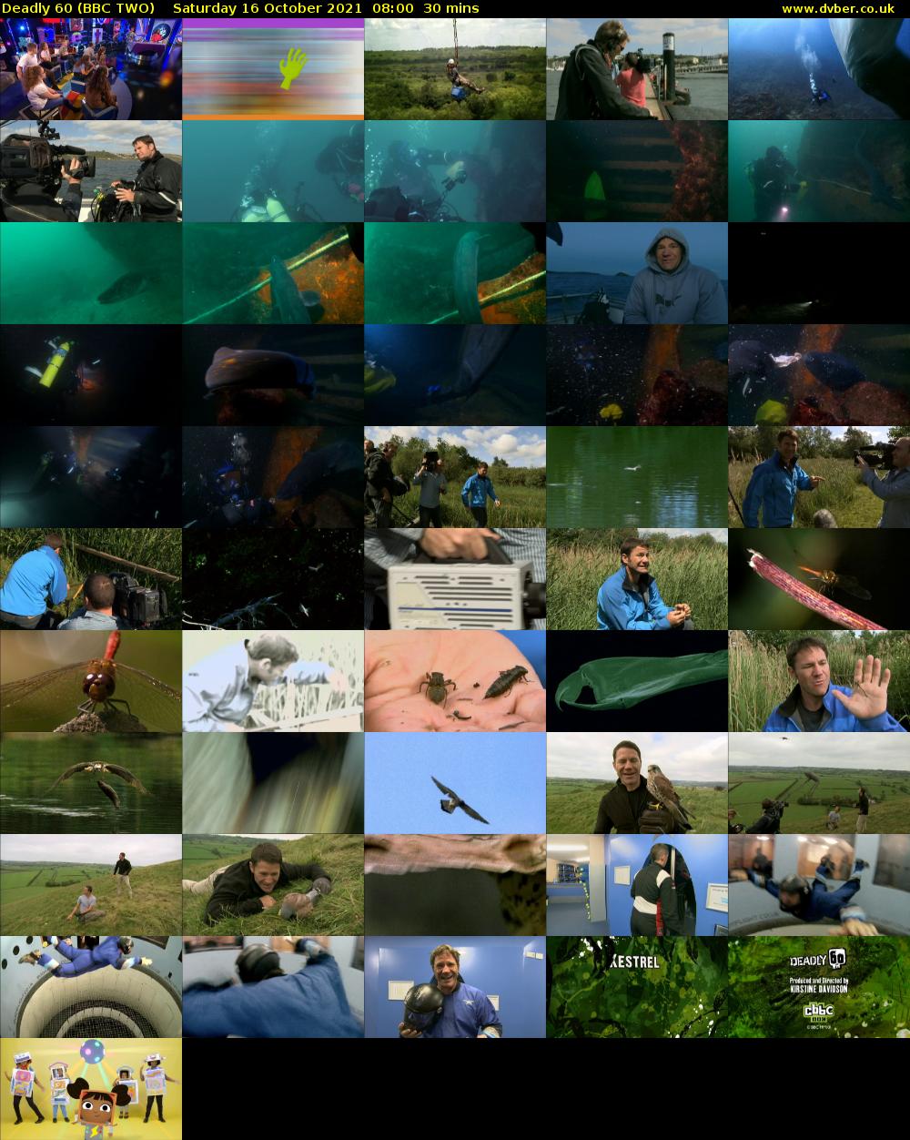 Deadly 60 (BBC TWO) Saturday 16 October 2021 08:00 - 08:30