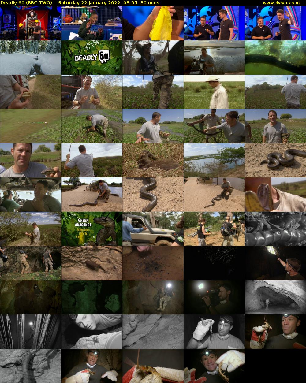 Deadly 60 (BBC TWO) Saturday 22 January 2022 08:05 - 08:35