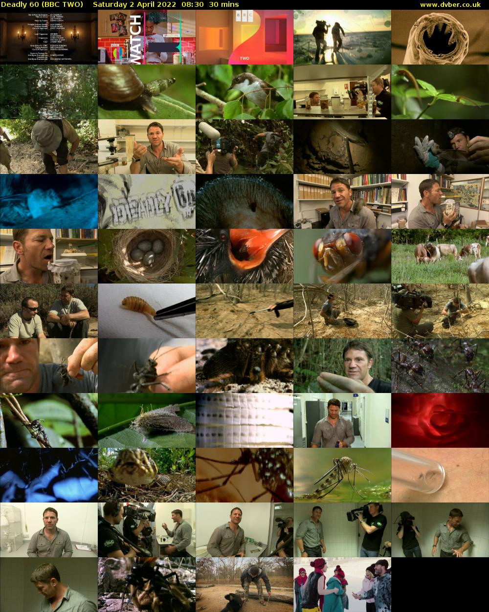 Deadly 60 (BBC TWO) Saturday 2 April 2022 08:30 - 09:00