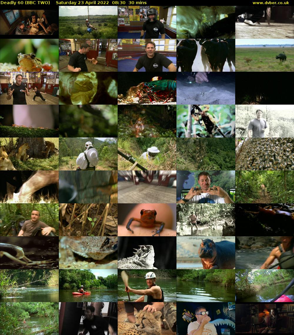 Deadly 60 (BBC TWO) Saturday 23 April 2022 08:30 - 09:00