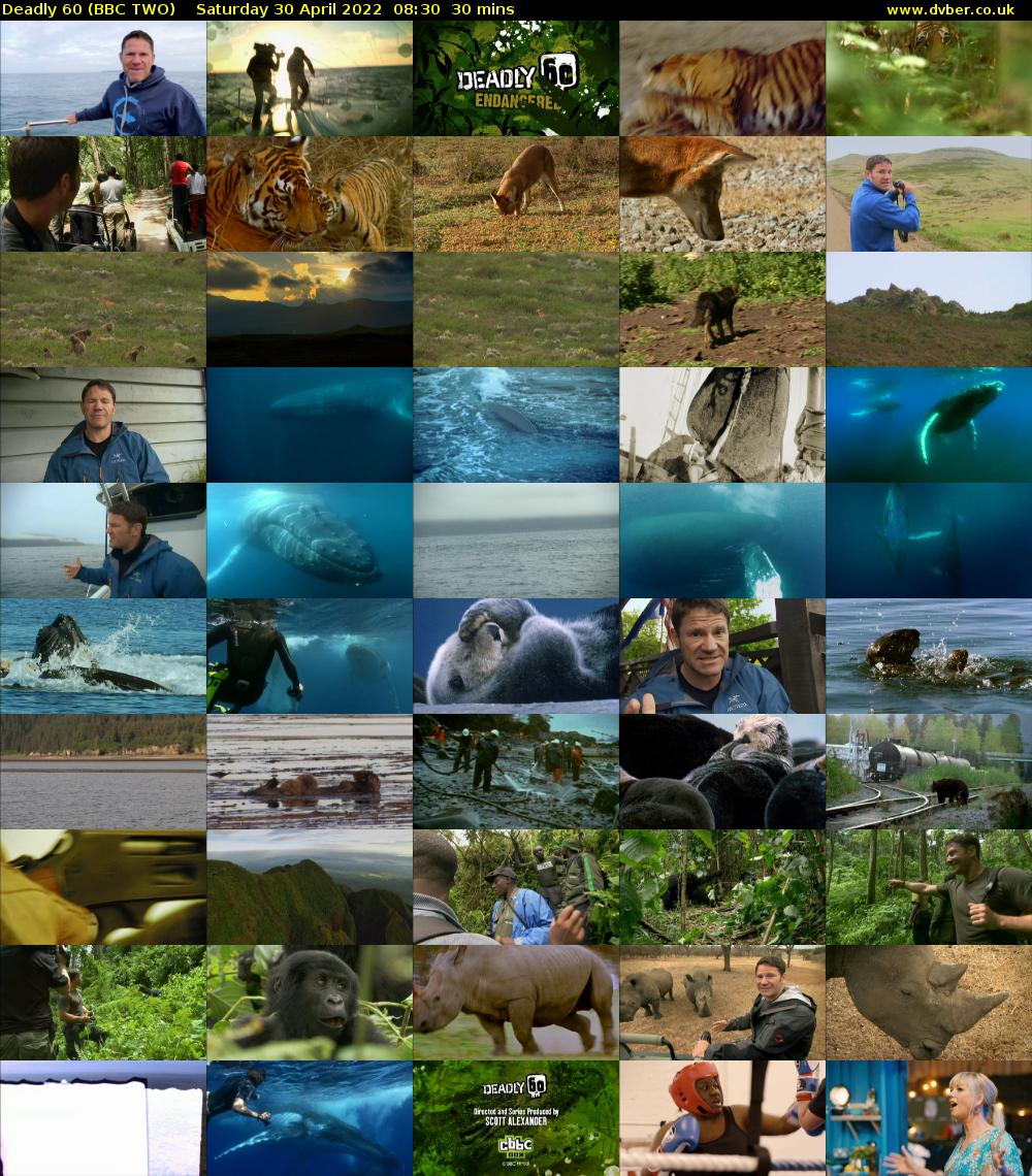 Deadly 60 (BBC TWO) Saturday 30 April 2022 08:30 - 09:00