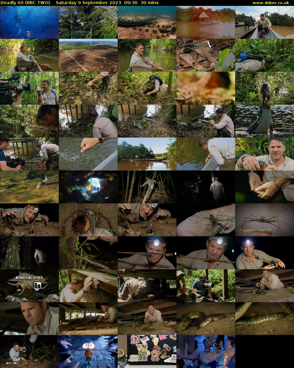Deadly 60 (BBC TWO) Saturday 9 September 2023 09:30 - 10:00