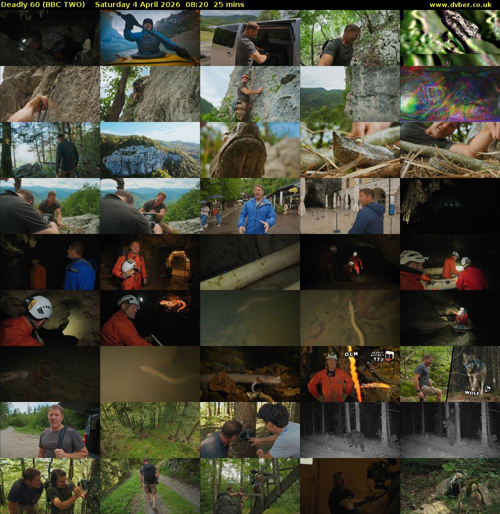 Deadly 60 (BBC TWO) Saturday 4 April 2026 08:20 - 08:45