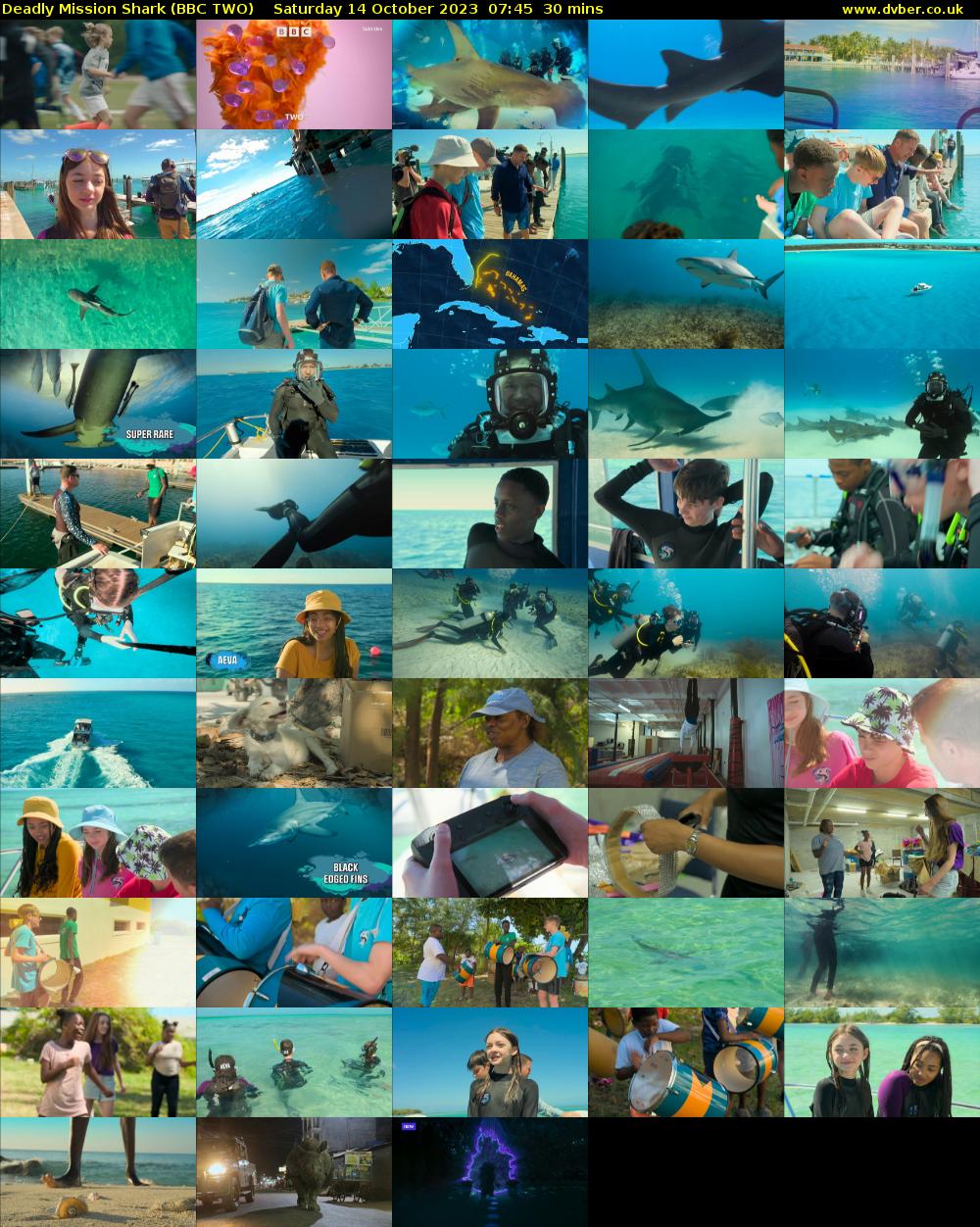 Deadly Mission Shark (BBC TWO) Saturday 14 October 2023 07:45 - 08:15