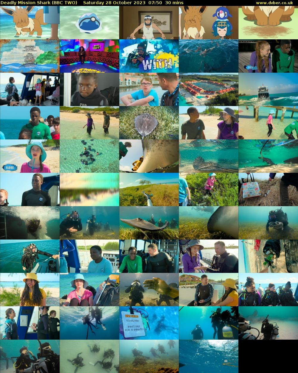 Deadly Mission Shark (BBC TWO) Saturday 28 October 2023 07:50 - 08:20