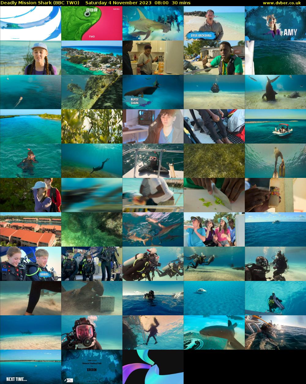 Deadly Mission Shark (BBC TWO) Saturday 4 November 2023 08:00 - 08:30