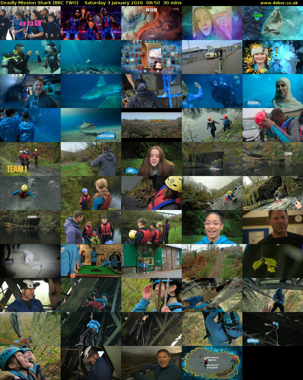Deadly Mission Shark (BBC TWO) Saturday 3 January 2026 08:50 - 09:20