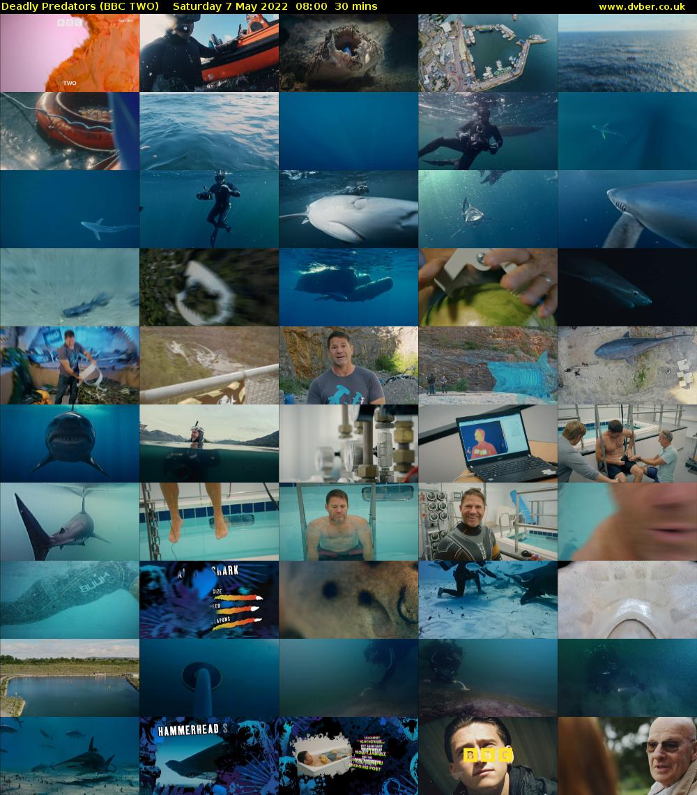 Deadly Predators (BBC TWO) Saturday 7 May 2022 08:00 - 08:30