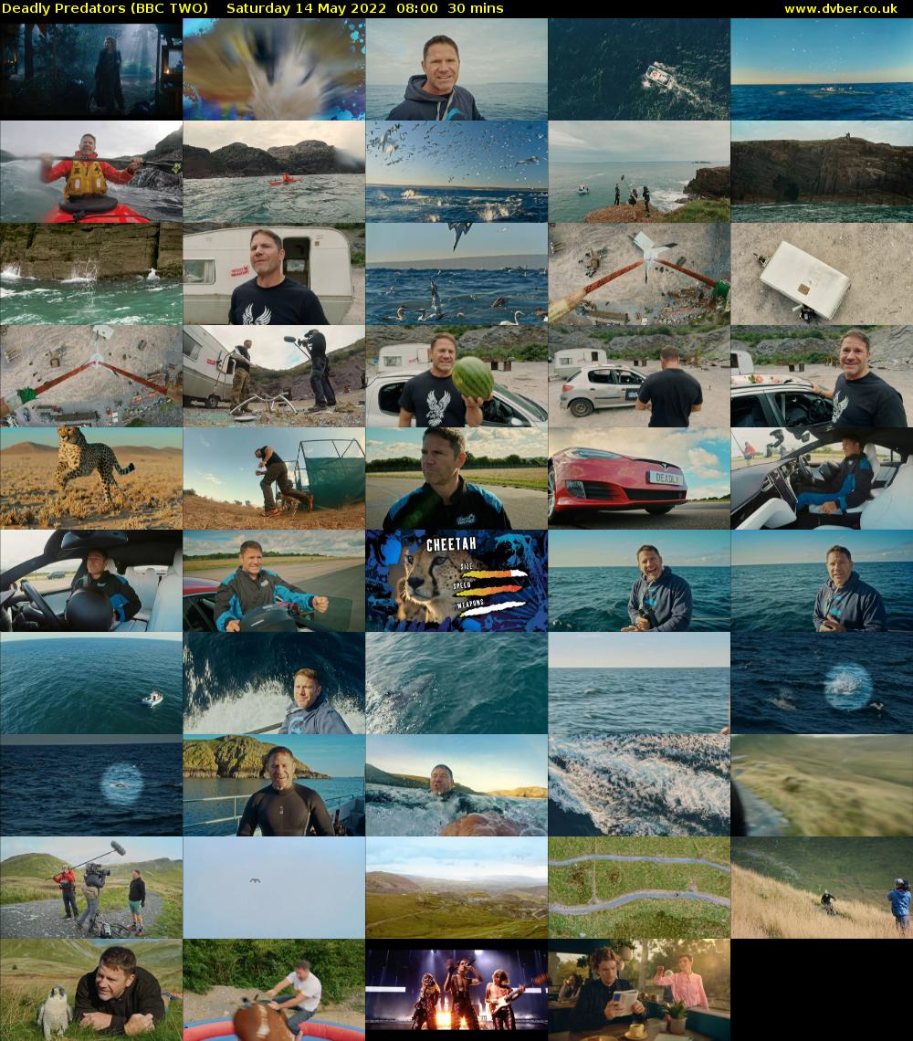 Deadly Predators (BBC TWO) Saturday 14 May 2022 08:00 - 08:30