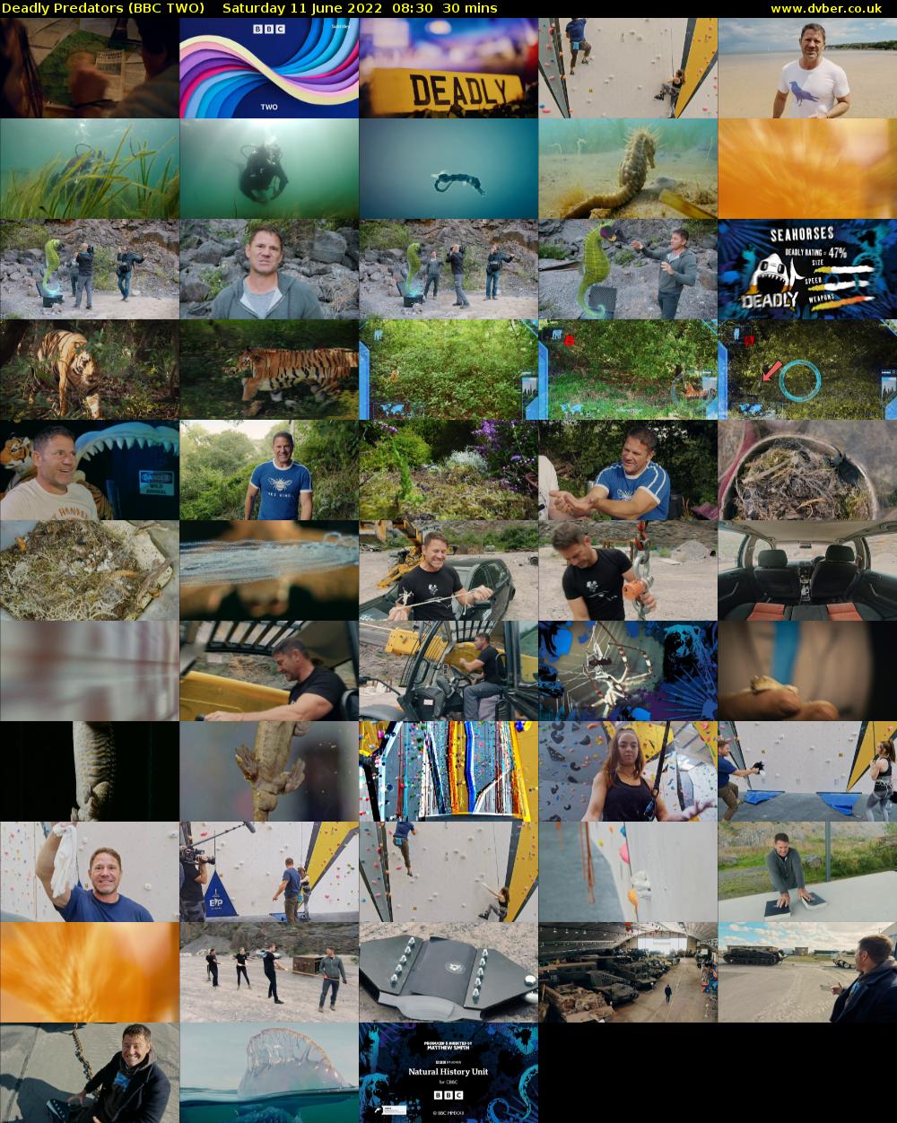 Deadly Predators (BBC TWO) Saturday 11 June 2022 08:30 - 09:00